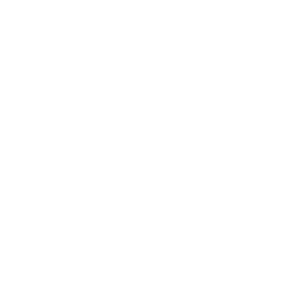 Namate Private Driver India logo in white